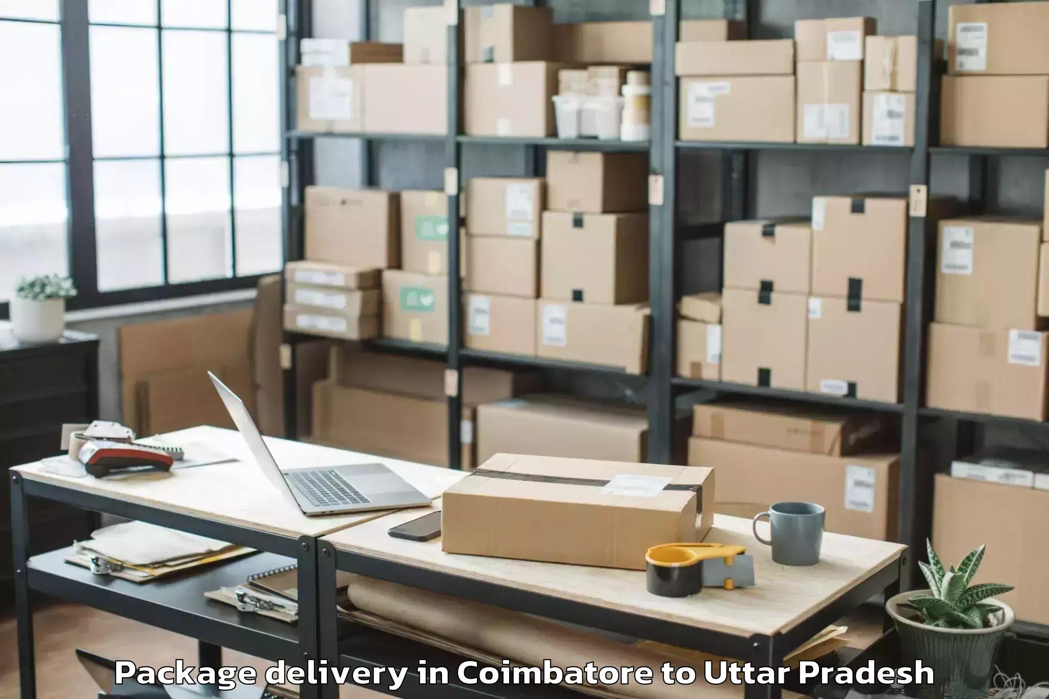 Trusted Coimbatore to Malihabad Package Delivery